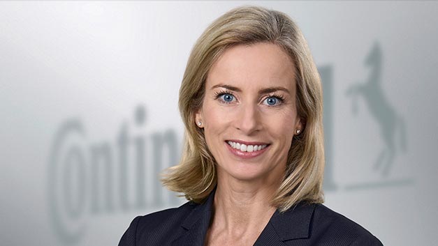 Rosa Meckseper Continental Teaser